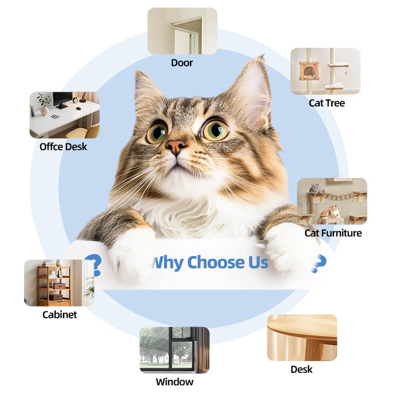SpinPlay™ Interactive Cat Toy