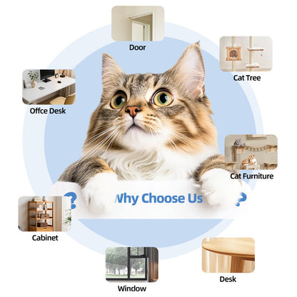 SpinPlay™ Interactive Cat Toy