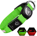Air tag collar-Best selling