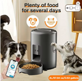 Smart feeder for dogs/cats