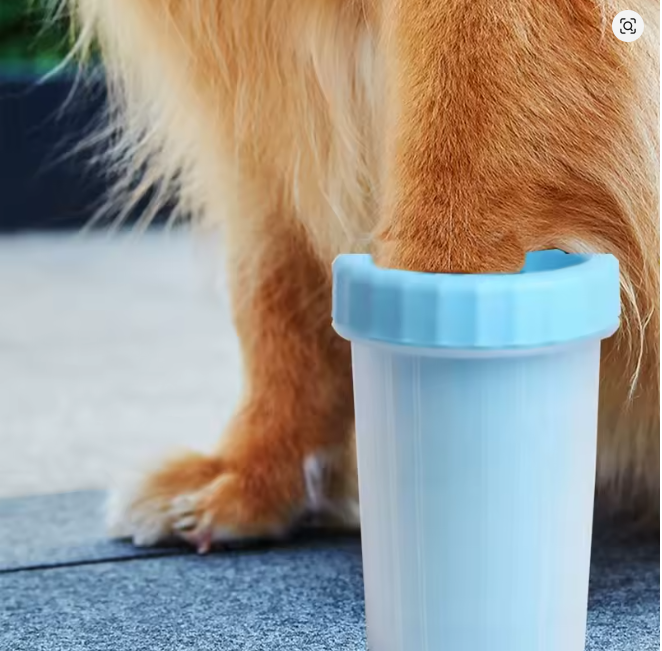 Pup paw wash
